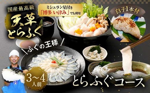 【ミシュラン星付きのプロが愛用】【着日指定不可】【数量限定】【白子付】大皿使用 国産最高級！天草とらふぐコース（3～4人前）【2024年12月下旬～2025年3月下旬発送予定】ふぐ刺し ふぐ鍋 フグ ふぐ刺身セット 河豚 217047 - 熊本県上天草市