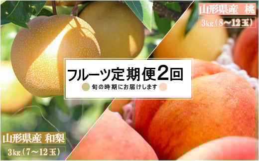 【2025年8月～9月発送】【定期便2回】山形旬の果物2選（桃/和梨）_H234(R7) 2108045 - 山形県長井市