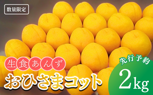 [2025年先行予約]あんず おひさまコット(生食/皮ごとOK) 約2kg 杏子 アプリコット 生食用 千曲市産 長野県 信州