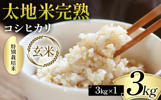 2024年産 特別栽培米 太地米完熟 【こしひかり】 玄米 3kg ブランド米 お米 人気 F7X-0316 2114609 - 福島県須賀川市