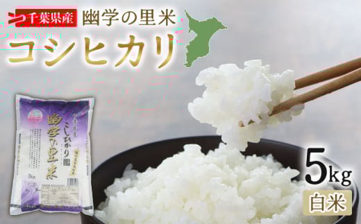 ＼最短7営業日以内発送/ 令和6年産 米 幽学の里米 コシヒカリ 5kg 精米 国産 千葉県産コシヒカリ 炊飯 炊飯器 土鍋 おにぎり 米 お米 おこめ 白米 コメ ライス ご飯 備蓄 すし米コンテスト・国際大会 特Aランク賞受賞 ギフト プレゼント 贈答 記念日 お祝い 送料無料 産地直送 千葉 千葉県産 ふるさと納税 千葉県 旭市 幽学の里米