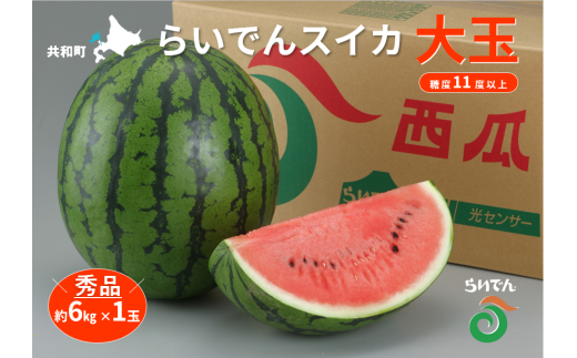 2025年 7月 出荷 先行予約 スイカ 北海道 共和町産 らいでんスイカ 大玉 約6kg 