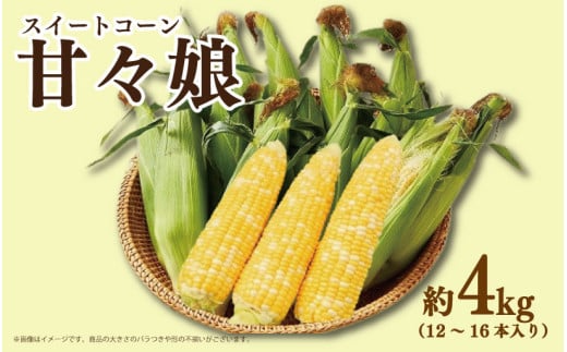 とうもろこし スイートコーン 甘々娘 4kg コーン 野菜 やさい 新鮮 サラダ 醤油 バター 砂糖 茹でとうもろこし 焼きもろこし 天ぷら スープ コーンスープ かんかんむすめ カンカン娘 BBQ 焼き肉 アウトドア キャンプ 特産品 産地直送 徳島県 吉野川市