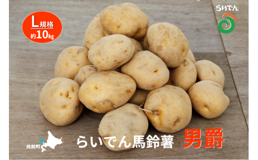 2025年 8月 出荷 先行予約 らいでん 馬鈴薯 男爵 L 規格 約10kg