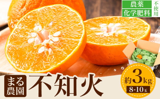先行予約 不知火 約3kg まる農園《2026年4月上旬～4月末頃出荷予定》熊本県 津奈木町 青果物 デコポン みかん しらぬい 果物 フルーツ 農薬不使用 化学肥料不使用 2106334 - 熊本県津奈木町