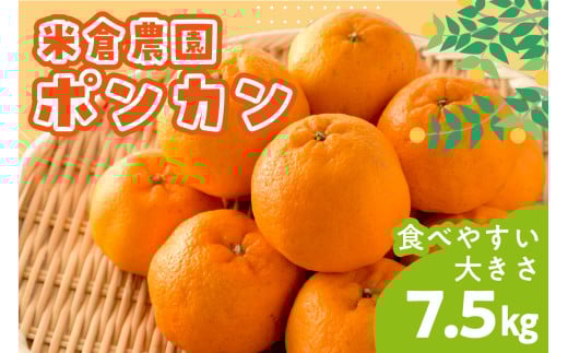 ポンカン 7.5キロ《先行予約2026年1月中旬頃より順次発送予定》