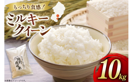 米 令和7年度産 特別栽培米 ミルキークイーン 10kg [渡部ファーム 山形県 高畠町 tk06ays810025] お米 白米 精米 ごはん ご飯 ブランド米 1144911 - 山形県高畠町