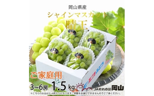 【2025年8月下旬より発送】ご家庭用 岡山県産 シャインマスカット 晴王 1.5kg(3～6房) ぶどう 葡萄 ブドウ フルーツ 果物