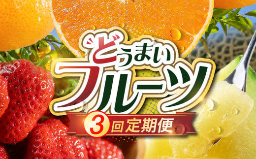 《先行予約》どうまい フルーツ 定期便 全3回 いちご みかん メロン 紅ほっぺ ゆめのか ミカン マスクメロン めろん 果物 フルーツ 旬 先行予約 1517050 - 愛知県豊橋市
