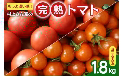 もっと濃い味！村上さん家の完熟トマト（ミニ＆大玉）合計1.8kg