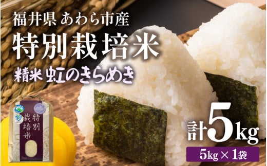 【先行予約】【令和7年産】化学肥料不使用 特別栽培米 虹のきらめき 精米 5kg / 白米 米 福井県あわら市産 美味しい 特別栽培米 減農薬 安心な米 旨味 甘み もっちり 冷蔵保管米 ※2025年9月下旬より順次発送 [aw010-a013]