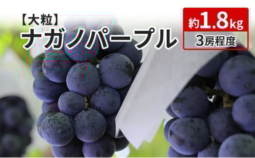 [№5729-0297]ナガノパープル 約1.8kg 3房程度 長野 坂城町産 ぶどう K＆Y農園 ブドウ フルーツ 果物 果物類 