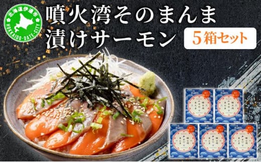 [5525-1120]噴火湾そのまんま 漬けサーモン(わさび・醤油・海苔付き)5箱 旬菜一鮮 だて大和屋 厳選 魚介 海鮮 刺身 刺し身 小分け 新鮮 魚介類 魚貝類 加工食品 贈答 ギフト 贈り物 ご褒美 1551942 - 北海道伊達市