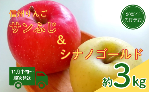 【2025年先行予約】りんご シナノゴールド(長野県オリジナル品種) サンふじ セット 計約3kg 詰合せ 食べ比べ 林檎 りんご 長野県 千曲市 信州 2037794 - 長野県千曲市