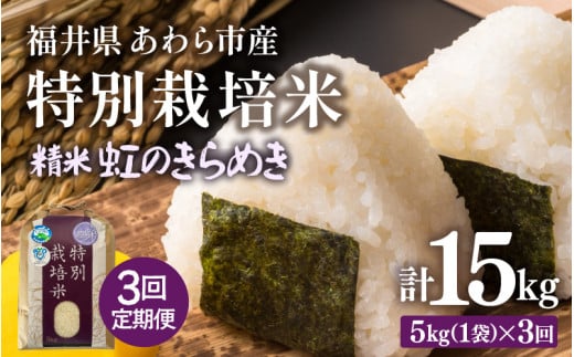 【先行予約】【令和7年産】定期便 ≪3ヶ月連続お届け≫ 化学肥料不使用 特別栽培米 虹のきらめき 精米 5kg × 3回（合計15kg） / 白米 米 福井県あわら市産 美味しい 特別栽培米 減農薬 安心な米 旨味 甘み もっちり 冷蔵保管米 ※2025年10月上旬より順次発送 [aw010-c008]