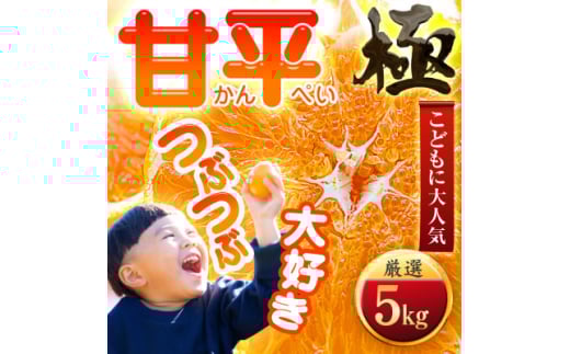 ＜甘みぎっっしり!＞シャキシャキ甘い♪♪＜甘平＞5kg＜H49-78＞【1621089】
