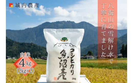 【令和7年度産新米予約】南魚沼産コシヒカリ　白米４kg（２ｋｇ×２）【５割減農薬栽培米】城内農産【2025年10月中旬より順次発送予定】