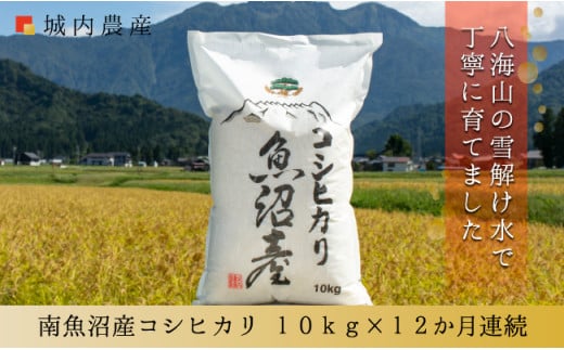 【令和７年産新米予約】【お米定期便/全１２回】南魚沼産コシヒカリ　白米１０ｋｇ＜５割減農薬栽培米＞城内農産【2025年10月上旬より順次発送予定】 447061 - 新潟県南魚沼市