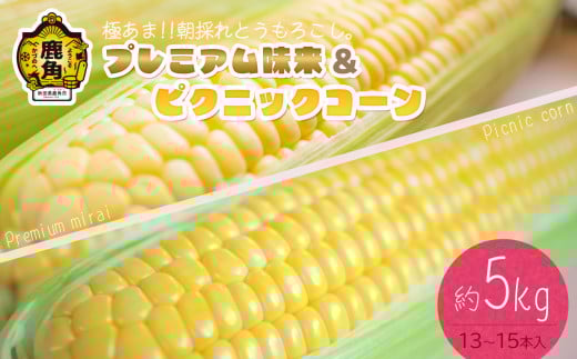 《 先行予約 》秋田県鹿角産 朝採り プレミアム味来＆ピクニックコーン 約5kg（13～15本）【さとう農園】●2025年7月下旬発送開始 朝採り 甘い 秋田県 鹿角産 新鮮 野菜 安全 トウモロコシ スイートコーン 中元 お歳暮 母の日 父の日 グルメ ギフト 故郷 秋田 あきた 鹿角市 鹿角 送料無料  2104826 - 秋田県鹿角市