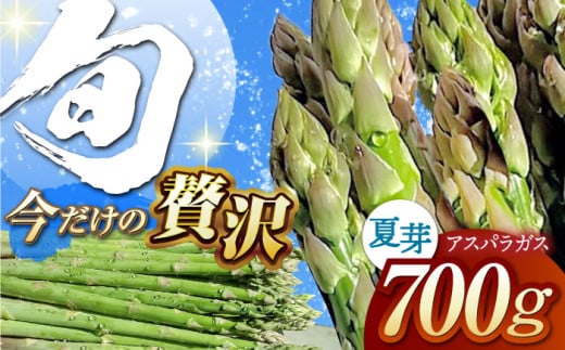 夏芽 アスパラガス 700g アスパラ【けいちゃん農園】 [HCC005] アスパラ アスパラガス あすぱら あすぱらがす 野菜 281826 - 佐賀県江北町