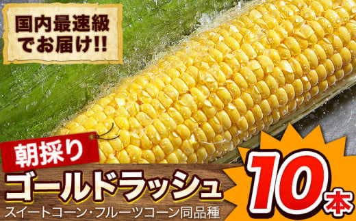 日本最速級出荷 朝採り ゴールドラッシュ 10本入り 3L-Lサイズ 《6月上旬- 6月末頃出荷》 熊本県 大津町 スイートコーン フルーツコーン とうもろこし トウモロコシ