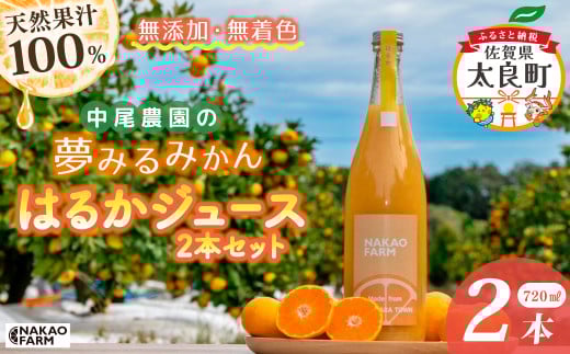 中尾農園の夢みるみかんはるかジュース2本セット 蜜柑ジュース ミカンジュース みかんジュース みかん はるか 720ml フルーツジュース くだもの 果物 減農薬 ミネラル豊富 ビタミン豊富 贈り物 ギフト 佐賀県 太良町 NC27