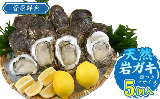 [令和7年 先行予約]天然岩ガキ 5個入り (岩ガキ専用ナイフ付き) 庄内観光物産館