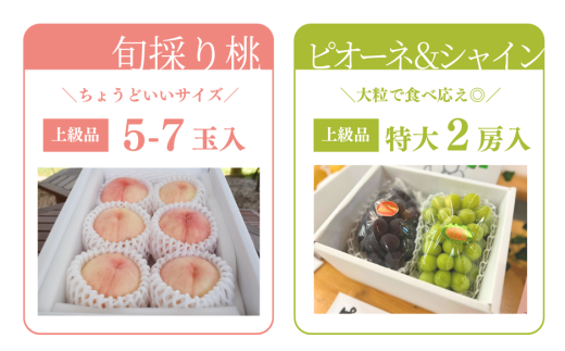 アイテムID:425260の画像2枚目