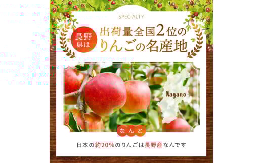 長野県飯田市のふるさと納税 南信州産 りんご シナノスイート 約5kg 【2025年9月～10月発送】 | 果物 くだもの フルーツ シナノスイート 林檎 りんご リンゴ 信濃 新鮮 長野県 信州 南信州 飯田市