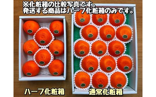 アイテムID:413112の画像3枚目