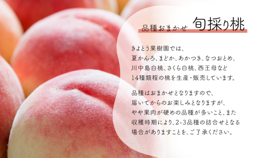 アイテムID:425260の画像3枚目