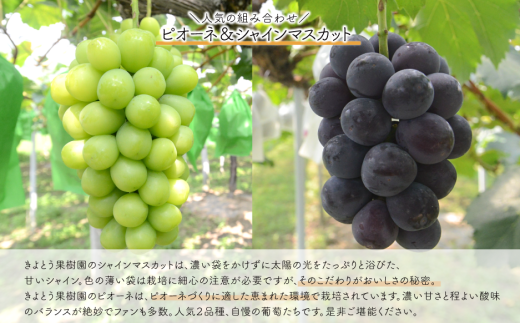 アイテムID:425260の画像4枚目