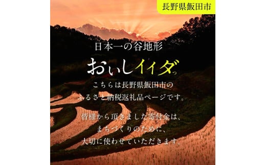 長野県飯田市のふるさと納税 南信州産 りんご シナノスイート 約5kg 【2025年9月～10月発送】 | 果物 くだもの フルーツ シナノスイート 林檎 りんご リンゴ 信濃 新鮮 長野県 信州 南信州 飯田市