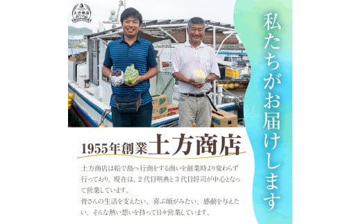 岡山県備前市のふるさと納税 【2025年発送分 先行受付スタート】岡山県産シャインマスカット「晴王」　秀品　大房　（約2kg・2～5房程度）（令和７年8月中旬以降発送）【 シャインマスカット 晴王 フルーツ 果物 葡萄 ぶどう 岡山県産 秀品 大房 種無し 高糖度 hzS-M 】