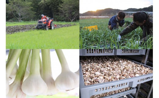 自社のオーガニック農園及び加工場は有機JASを取得しています。農薬や化学肥料不使用・無添加で一つ一つ丹精を込めて作っています。
