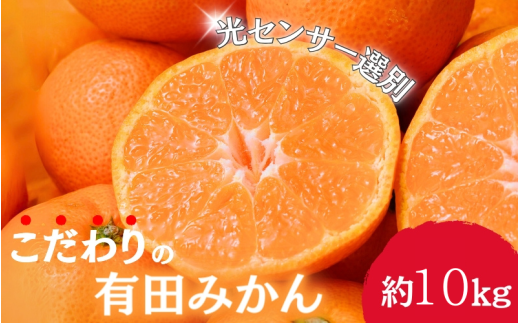 早期先行予約！  こだわりの有田みかん 約10kg＋250g(傷み補償分) 【ご家庭用】【12月発送】 光センサー選別品 農家直送品 ※北海道・沖縄・離島配送不可 / みかん 有田みかん 温州みかん 柑橘 果物 くだもの フルーツ 有田 和歌山 和歌山県産 産地直送 【nuk101-12】 