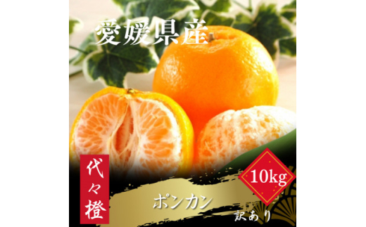 ＜濃厚な甘さ＞＜訳あり＞ポンカン 10kg＜E83-24＞【1557488】 1512034 - 愛媛県八幡浜市