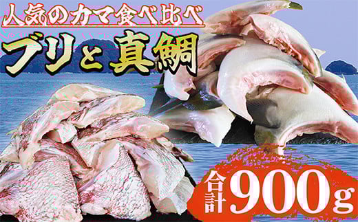 人気のカマ 食べ比べセット ブリカマ 真鯛カマ 切り落とし 合計900g 大容量 小分け パック 国産 希少部位 ブリ ぶり 鰤 頭肉 塩焼き  煮付け 照り焼き ブリ大根 アクアパッツァ 真鯛 マダイ 鯛 タイ たい ソテー 塩焼き 煮付け 鯛めし 人気 大満足 美味しい 魚介類 海鮮 バーベキュー BBQ  冷凍 肉厚 ふるさと納税 三重県 尾鷲市 OB-36