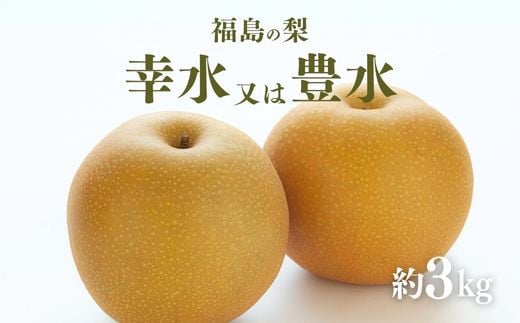 No.2042ふくしまの梨　約３kg（幸水または豊水）【2025年発送　先行予約】 281180 - 福島県福島市