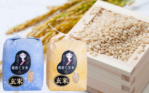 備前乙女米 玄米 2kg×2袋（計約4kg）【2025年10月下旬～2026年9月下旬発送予定】 ／ お米 米 おこめ こめ コメ ご飯 ライス モチモチ 石原果樹園 岡山県 美咲町