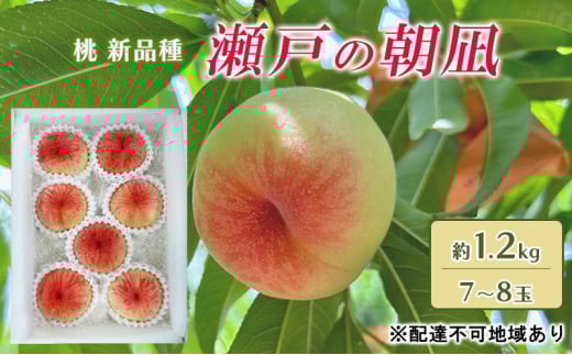 桃 2025年 先行予約 瀬戸の朝凪 KU-PP1 約1.2kg 7～8玉 新品種 モモ もも フルーツ 果物 岡山 赤磐市産