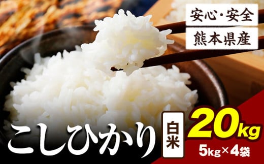 令和6年産 こしひかり 20kg 《7-14日以内に出荷予定(土日祝除く)》令和6年産 熊本県産 ふるさと納税 白米 精米 ひの 米 こめ ふるさとのうぜい コシヒカリ コメ お米 おこめ 2144845 - 熊本県産山村