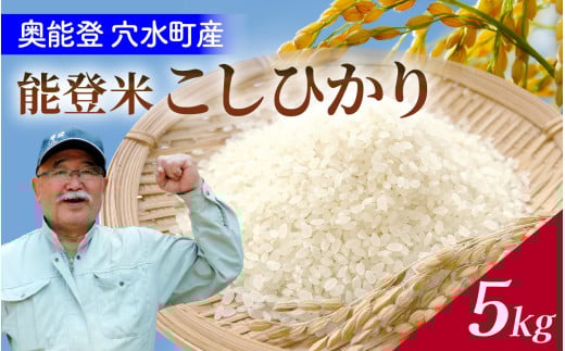 【令和7年産 先行予約】奥能登 穴水産 こしひかり 5kg【2025年10月以降順次発送】 /  新米 5kg 無洗米 減農薬 令和7年産 奥能登 能登半島 コシヒカリ 白米 こめ コメ 送料無料