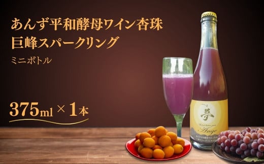 ワイン あんず 酵母 巨峰 スパークリング ミニボトル 果実酒 信州 長野県産 千曲市
