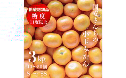 ＜糖度11度以上 酸1.0以下 糖酸選別品＞小玉 愛媛みかん 3kg＜C20-57＞【1595877】 2053119 - 愛媛県八幡浜市