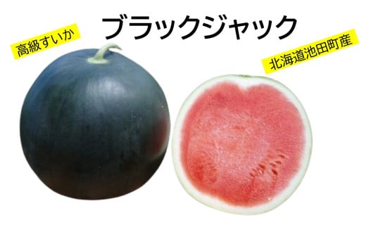 すいか ブラックジャック 5~6kg 1玉 北海道産 甘い 期間限定 数量限定 スイカ