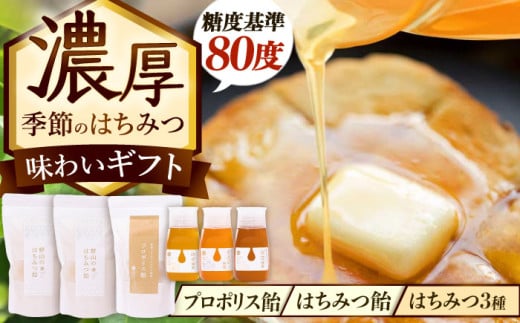 東美濃厳選 季節のはちみつ たっぷり味わいギフト 瑞浪市 / 堀養蜂園 蜂蜜 飴 セット 国産 [AZCF004] 833429 - 岐阜県瑞浪市