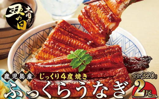 【土用丑の日】うなぎ 蒲焼 160g×2尾【鹿児島産】地下水で育てた絶品鰻 2106512 - 鹿児島県大崎町