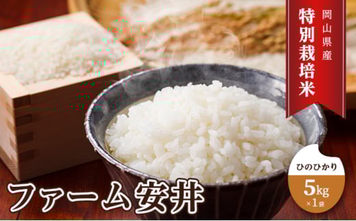 お米 【2025年11月～発送予定】 特別栽培米 ひのひかり 5kg×1袋 米 白米 岡山県産 ファーム安井 精米 ライス ご飯 おにぎり お弁当 和食 主食 国産 炭水化物 直送 産地直送 粘り 香り バランス