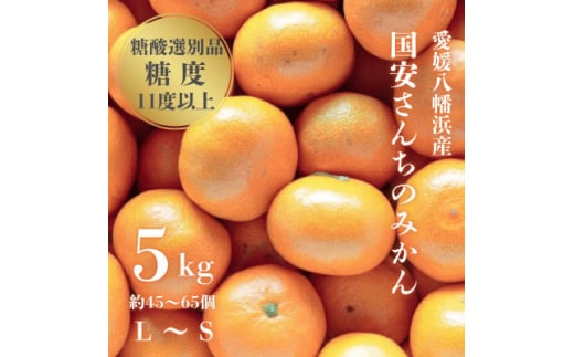 ＜糖度11度以上 酸1.0以下 糖酸選別品＞愛媛みかん 5kg＜D20-49＞【1594923】 2053118 - 愛媛県八幡浜市